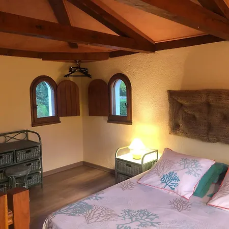 Un Ilot Tropical En Cevennes Saint-Privat-des-Vieux