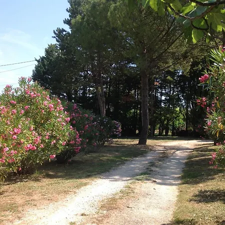 Un Ilot Tropical En Cevennes Saint-Privat-des-Vieux